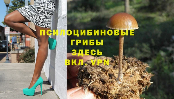 спайс Абинск